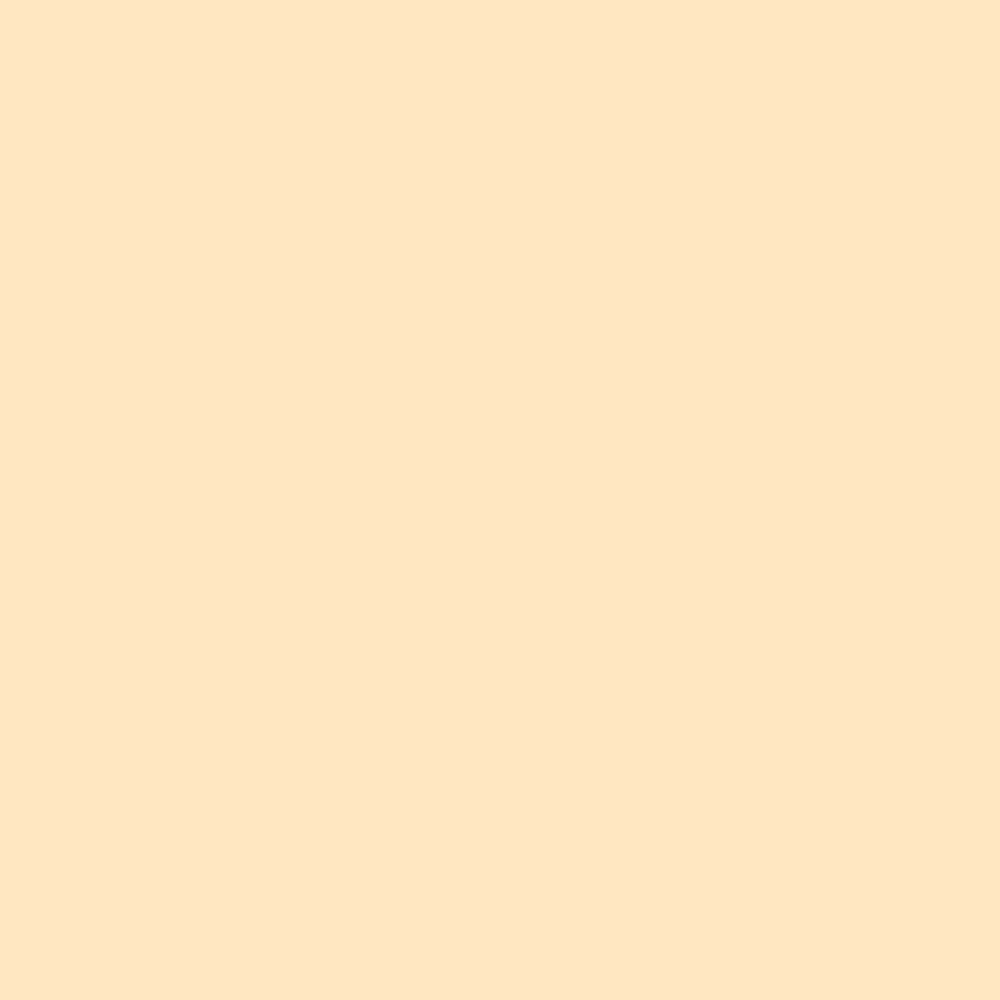 Peinture acrylique satin DULUX VALENTINE Crème de couleur Coquille d'oeuf - couleur Peinture acrylique satin DULUX VALENTINE Crème de couleur Coquille d'oeuf - couleur