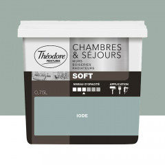 Peinture Chambres & Séjours Théodore Soft Iode - 0,75L