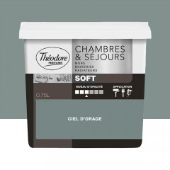 Peinture Chambres & Séjours Théodore Soft Ciel d'orage - 0,75L