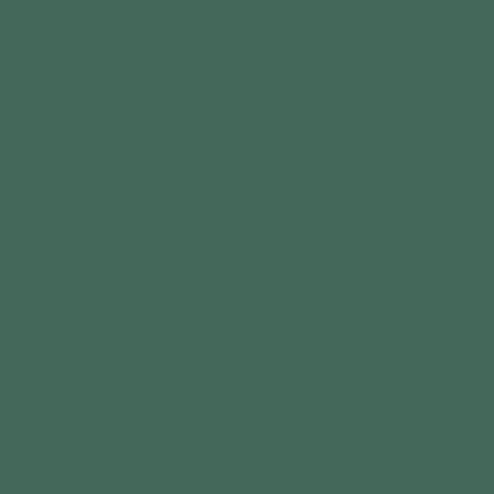 Peinture Murs, Boiseries, Radiateurs RIPOLIN OPur Satin Vert zapfino NP - couleur