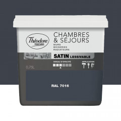 Peinture Chambres & Séjours Théodore Satin lessivable 7016 - 0,75L