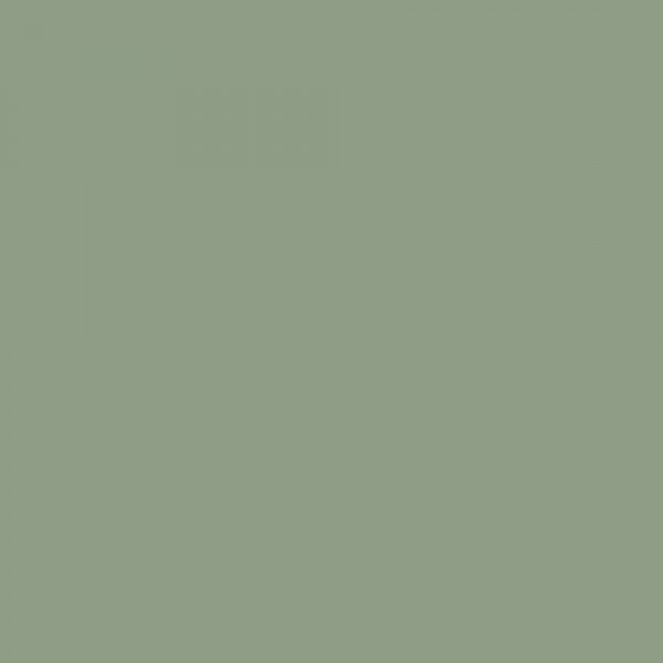 Bombe de peinture JULIEN Color Touch Vert pâle ral 6021 Satin - couleur