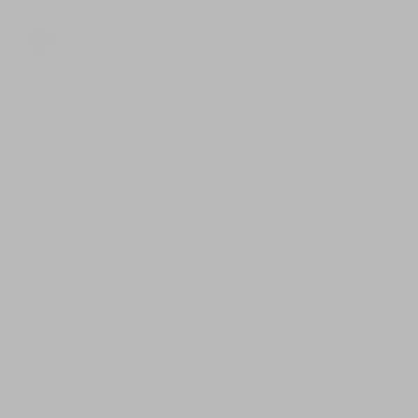 Peinture Tuyauterie & chauffage Julien Satin Aluminium - couleur