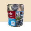 Peinture façade pliolite Théodore Ton pierre - 2,5L