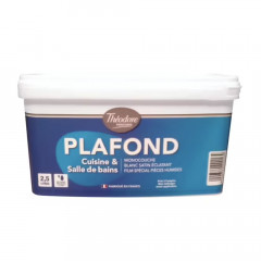 Peinture Plafond Cuisine & Salle de Bains Théodore Blanc - 2,5L