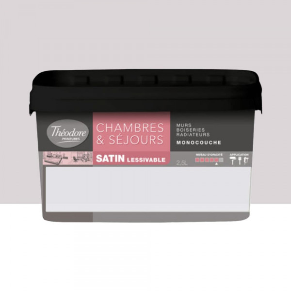 Chambres & Séjours Théodore Satin Monocouche Violine - 2,5L