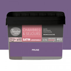 Chambres & Séjours Théodore Satin Monocouche Prune - 0,75L