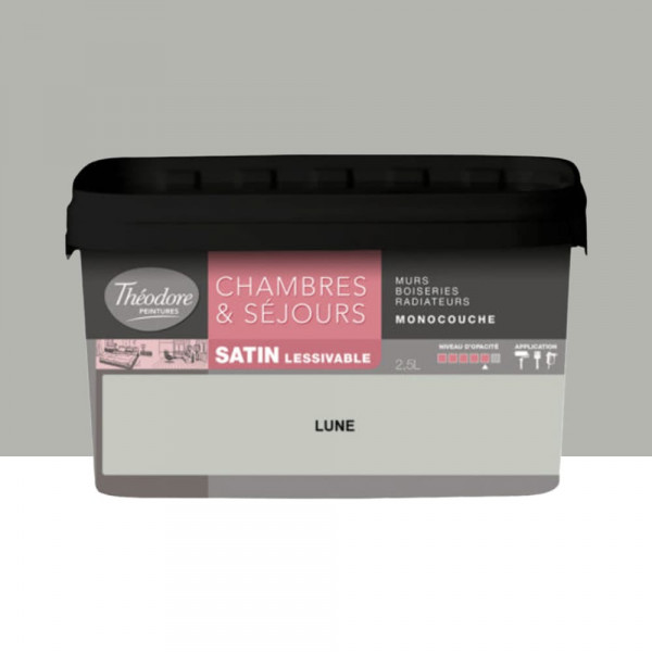 Chambres & Séjours Théodore Satin Monocouche Lune - 2,5L