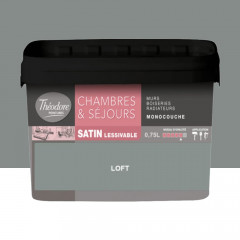 Chambres & Séjours Théodore Satin Monocouche Loft - 0,75L