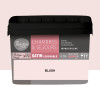 Chambres & Séjours Théodore Satin Monocouche Blush - 0,75L Chambres & Séjours Théodore Satin Monocouche Blush - 0,75L