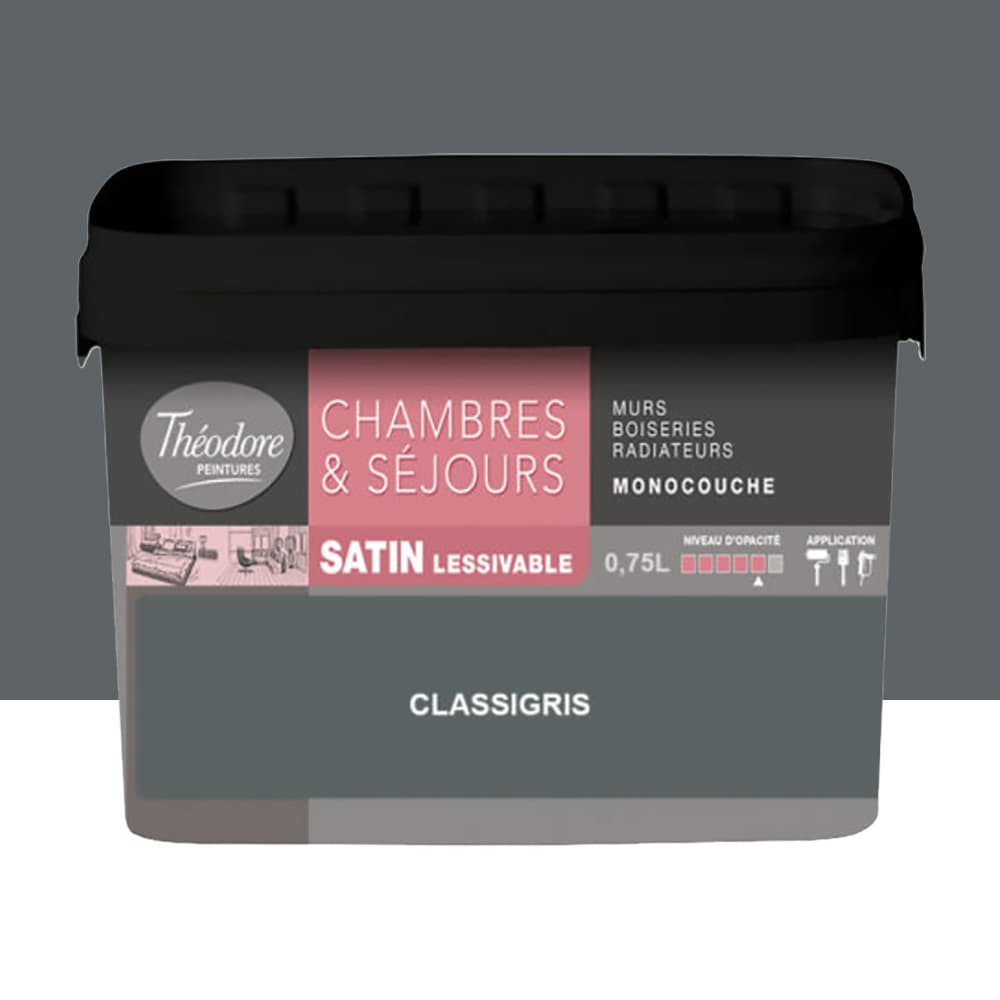 Chambres & Séjours Théodore Satin Monocouche Classigris - 0,75L Chambres & Séjours Théodore Satin Monocouche Classigris - 0,75L