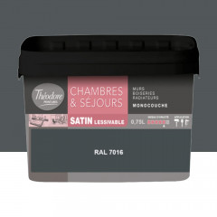 Chambres & Séjours Théodore Satin Monocouche 7016 - 0,75L