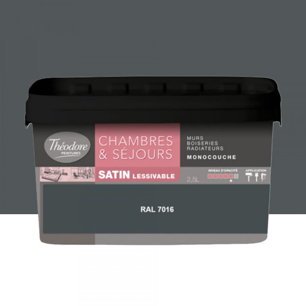 Chambres & Séjours Théodore Satin Monocouche 7016 - 2,5L