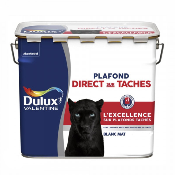Peinture Plafonds Dulux Valentine Direct sur Tâches - 5L