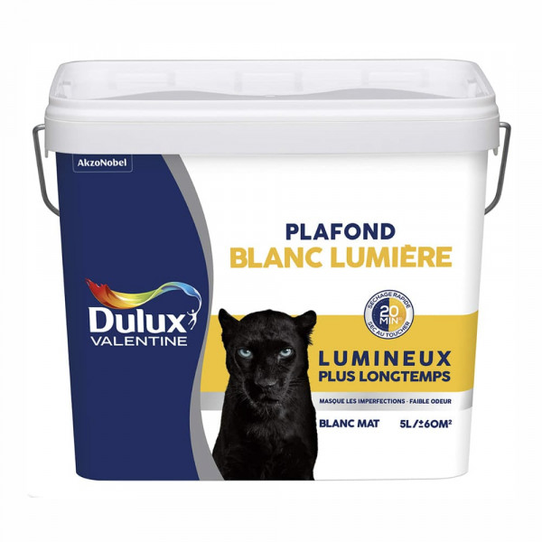 Peinture Plafond Dulux Valentine Blanc Lumière - 5L