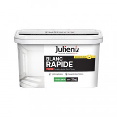 Peinture Murs Et Plafond Julien Blanc Rapide - 2,5L