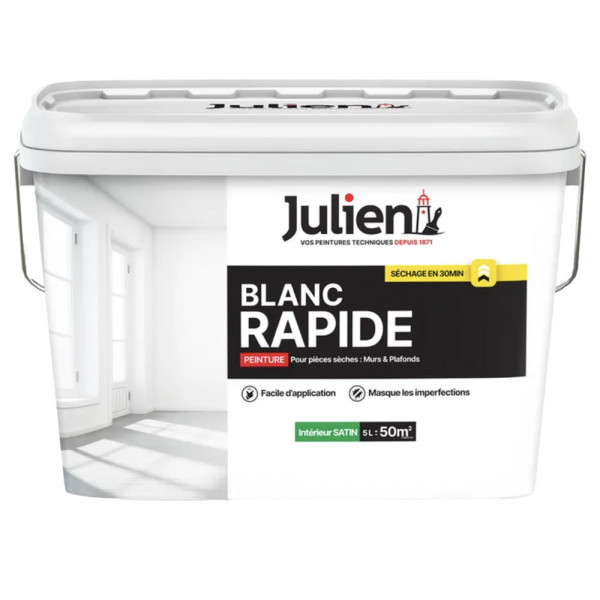 Peinture Murs Et Plafond Julien Blanc Rapide - 5L