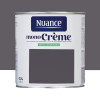 Peinture multi-supports NUANCE MonoCrème Satin Désintégris - 0,5L