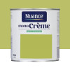 Peinture multi-supports NUANCE MonoCrème Satin Green - 0,5L