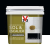 Peinture De Rénovation V33 Sol & Escalier Carbone- 0,75L