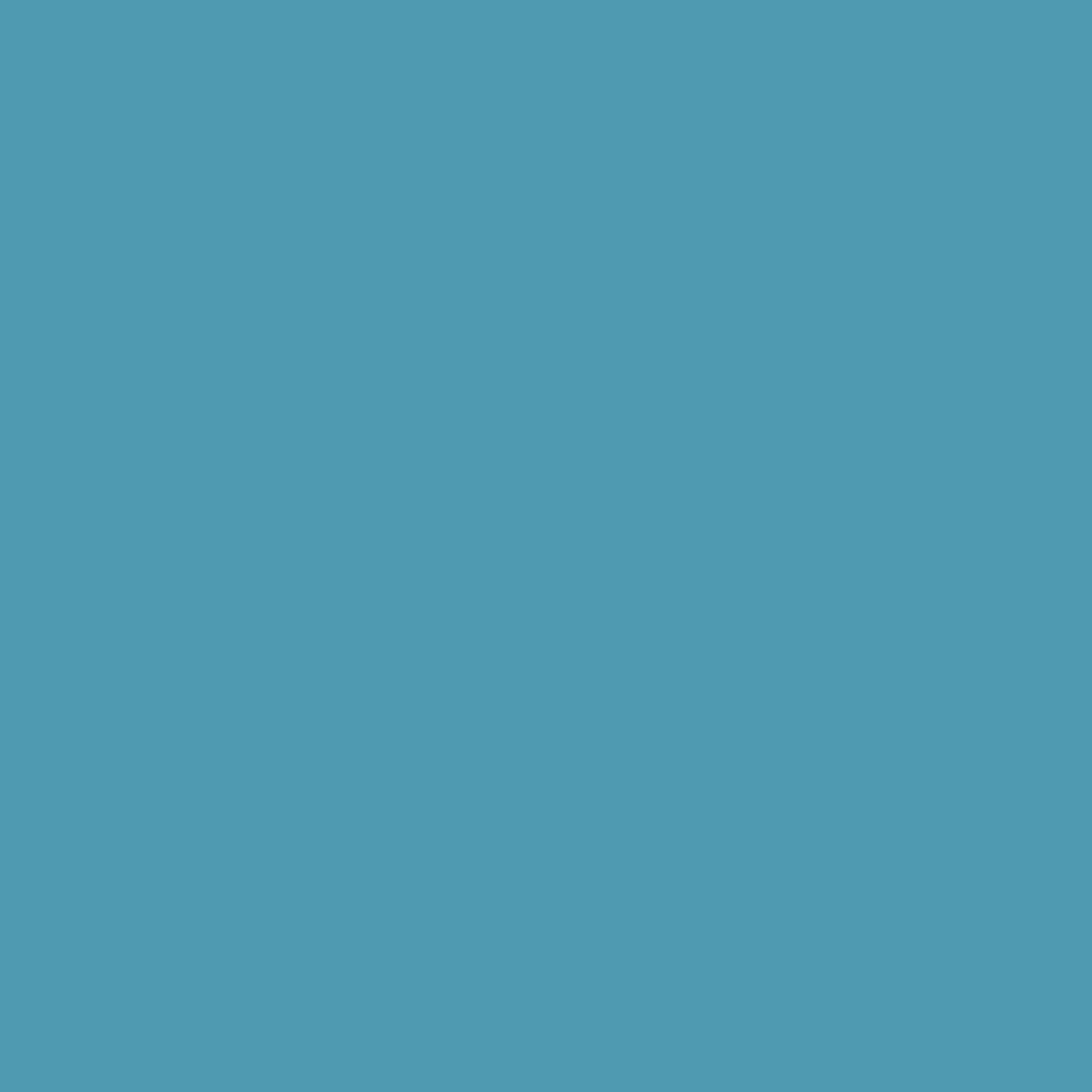 Peinture Bois RIPOLIN eXtrême Bleu pastel (ral 5024) - couleur