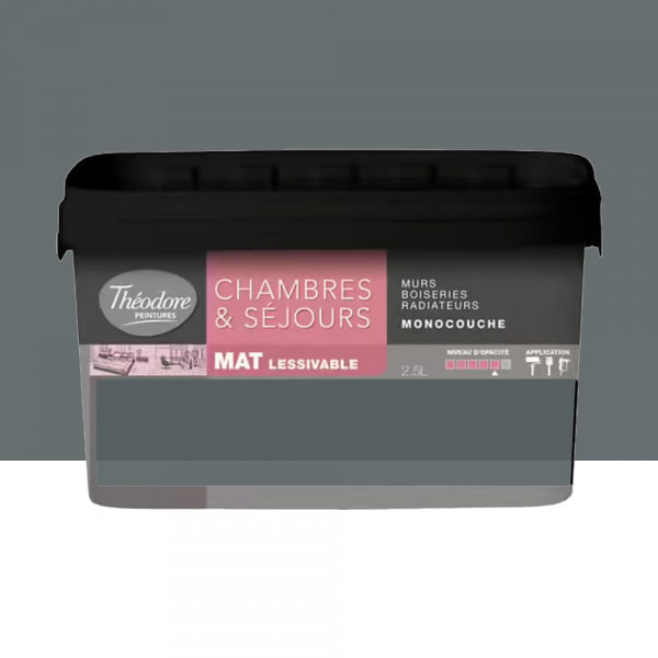 Chambres & Séjours Théodore Mat Monocouche 7016 - 2,5L