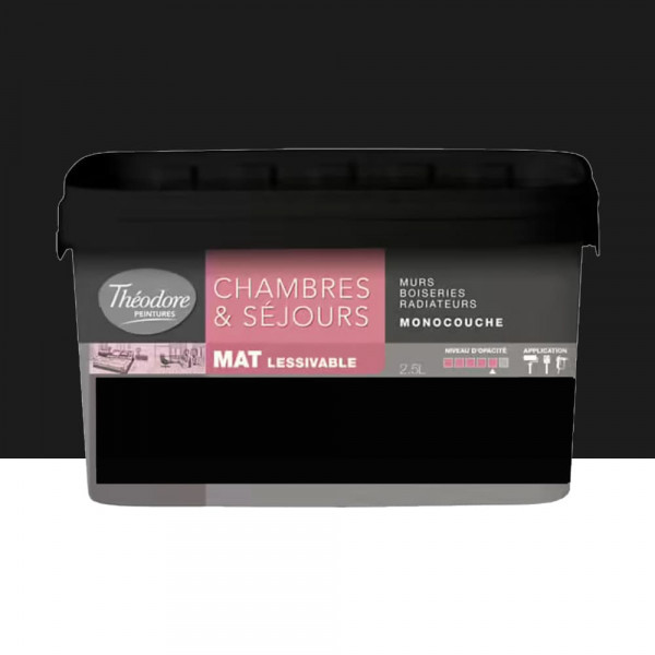 Peinture Chambres & Séjours Théodore Mat Monocouche Noir - 2,5L