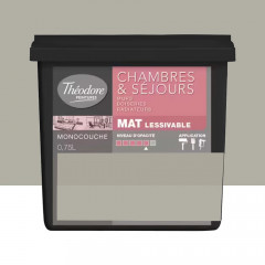 Peinture Chambres & Séjours Théodore Mat Monocouche Bruges - 0,75L