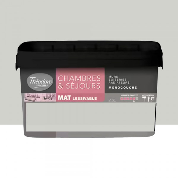 Peinture Chambres & Séjours Théodore Mat Monocouche Lune - 2,5L