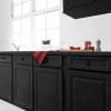 Peinture De Rénovation V33 Meuble De Cuisine Noir Carbone - ambiance
