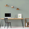 Peinture Murs, Boiseries, Radiateurs RIPOLIN Velours Vert ficus - ambiance