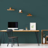 Peinture Murs, Boiseries, Radiateurs RIPOLIN Velours Vert armerie - ambiance