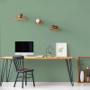 Peinture Murs, Boiseries, Radiateurs RIPOLIN Velours Vert simsun - ambiance