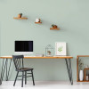 Peinture Murs, Boiseries, Radiateurs RIPOLIN Velours Vert palatino - ambiance