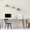 Peinture Murs, Boiseries, Radiateurs RIPOLIN Velours Blanc Champagny - ambiance