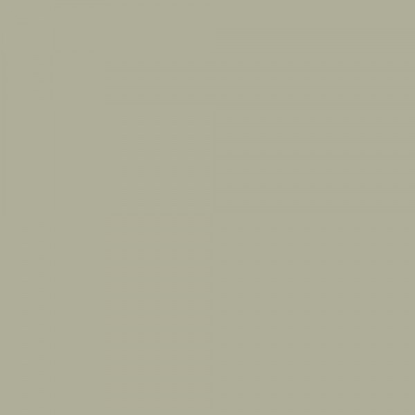 Peinture acrylique RIPOLIN Esprit Déco Satin Vert gaspesie - couleur