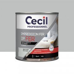 Impression Fer Cécil Professionnel IP FER Gris Clair Brillant - 0,5L