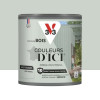 Peinture Acrylique pour Bois Extérieurs 10 ans V33 Couleurs d'ICI Velours Vert pastel - 0,5L