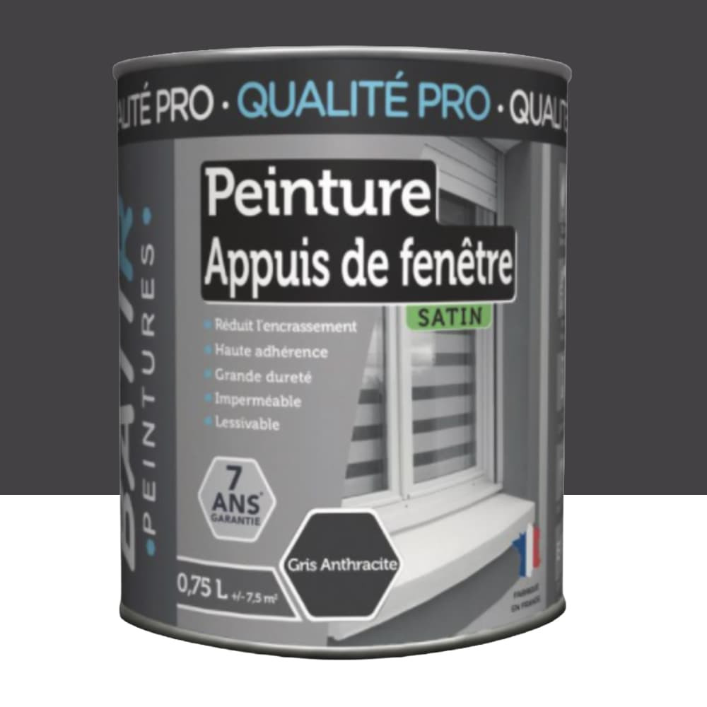 Peinture Appuis de fenêtres BÂTIR Gris anthracite - 0,75L