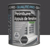 Peinture Appuis de fenêtres BÂTIR Gris anthracite - 0,75L