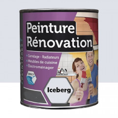 Peinture Rénovation pour cuisine BÂTIR Iceberg - 0,5L