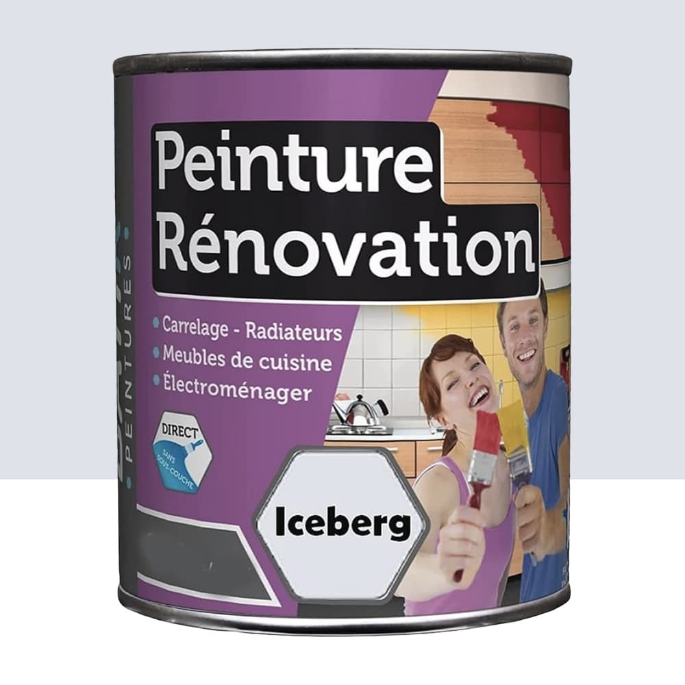 Peinture Rénovation pour cuisine BÂTIR Iceberg - 0,5L