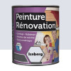 Peinture Rénovation pour cuisine BÂTIR Iceberg - 0,5L