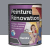 Peinture Rénovation pour cuisine BÂTIR Cendre - 0,5L