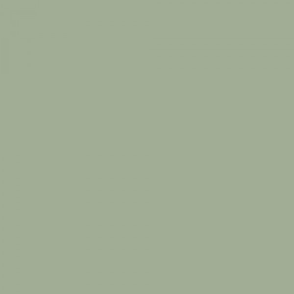 Peinture Murs, Boiseries, Radiateurs RIPOLIN OPur Satin velouté Vert arial NP - couleur
