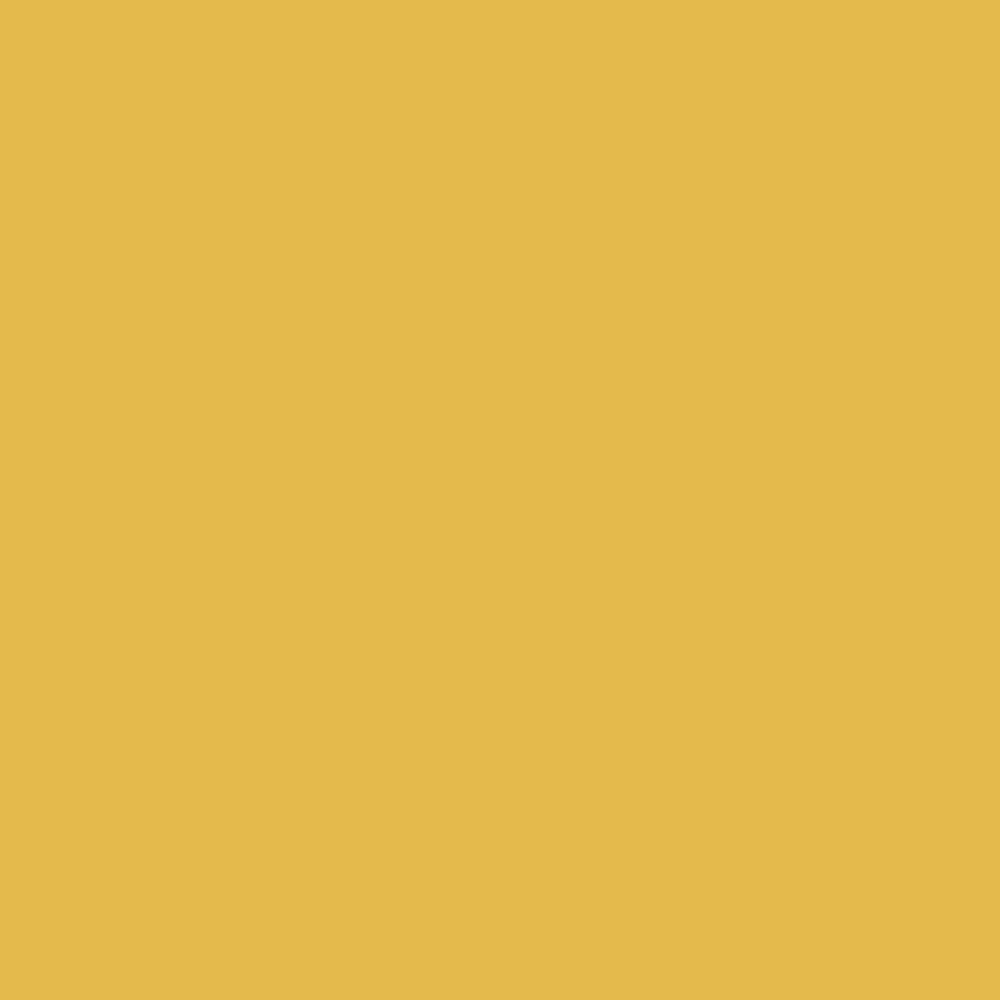 Peinture murs, boiseries et radiateurs TOLLENS Premium Argan satin - couleur