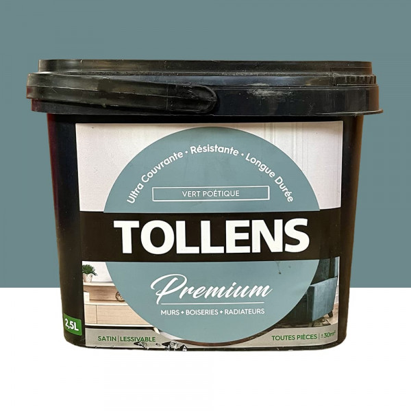 Peinture murs, boiseries et radiateurs TOLLENS Premium Vert poétique satin - 2,5L