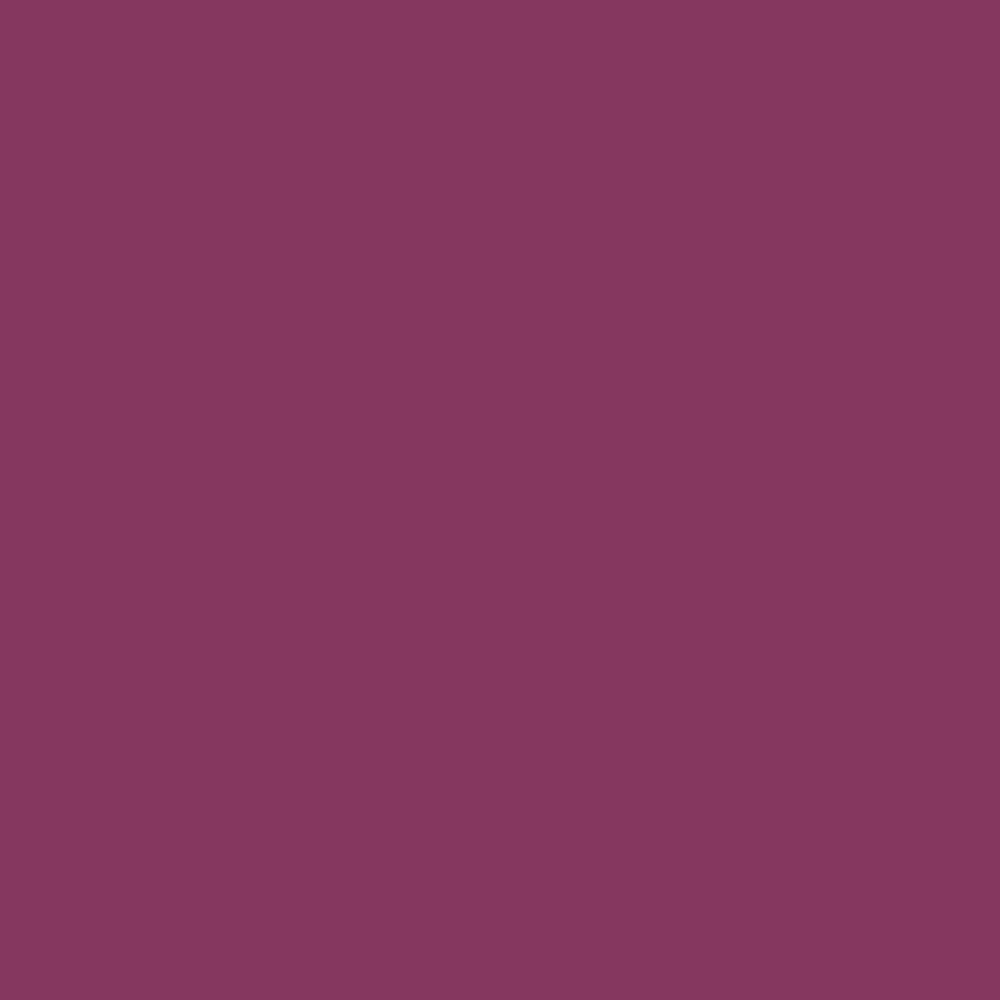 Peinture murs, boiseries et radiateurs TOLLENS Premium Pensée pourpre satin - couleur