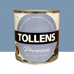 Peinture murs, boiseries et radiateurs TOLLENS Premium Ciel d'orage satin - 0,75L