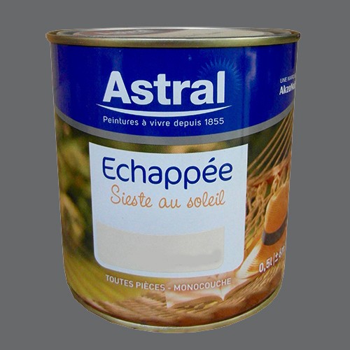 Astral Peinture Echappée Sieste Au Soleil Pénombre Satin Pas Cher En